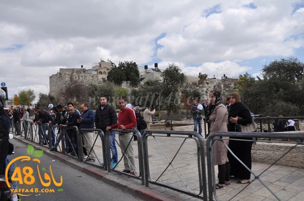 receive yaffa guys (2).JPG